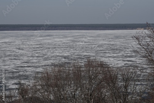 Spacious winter river landscape with bushes and forest