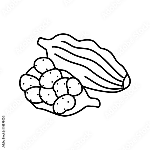 cardamom pods ayurvedic herb line icon vector. cardamom pods ayurvedic herb sign. isolated contour symbol black illustration