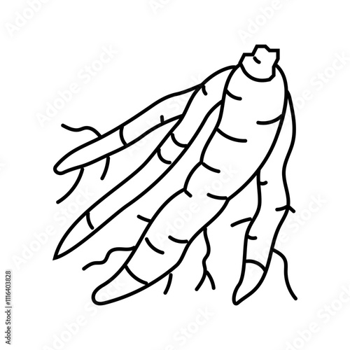 shatavari ayurvedic herb line icon vector. shatavari ayurvedic herb sign. isolated contour symbol black illustration