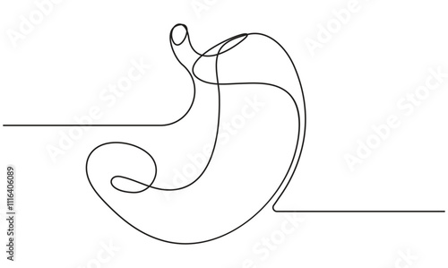 Stomach one continuous line drawing anatomy concept on white background minimalism 