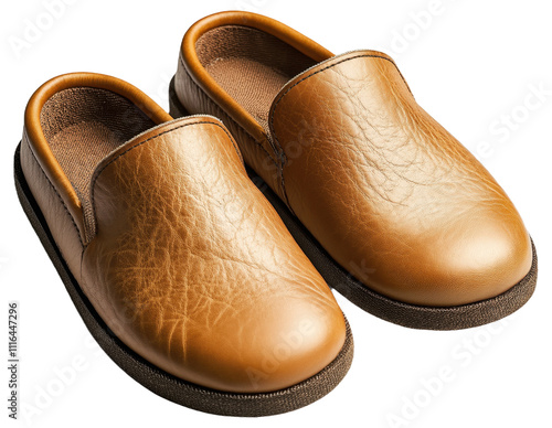 PNG Pair of brown leather slip-on shoes