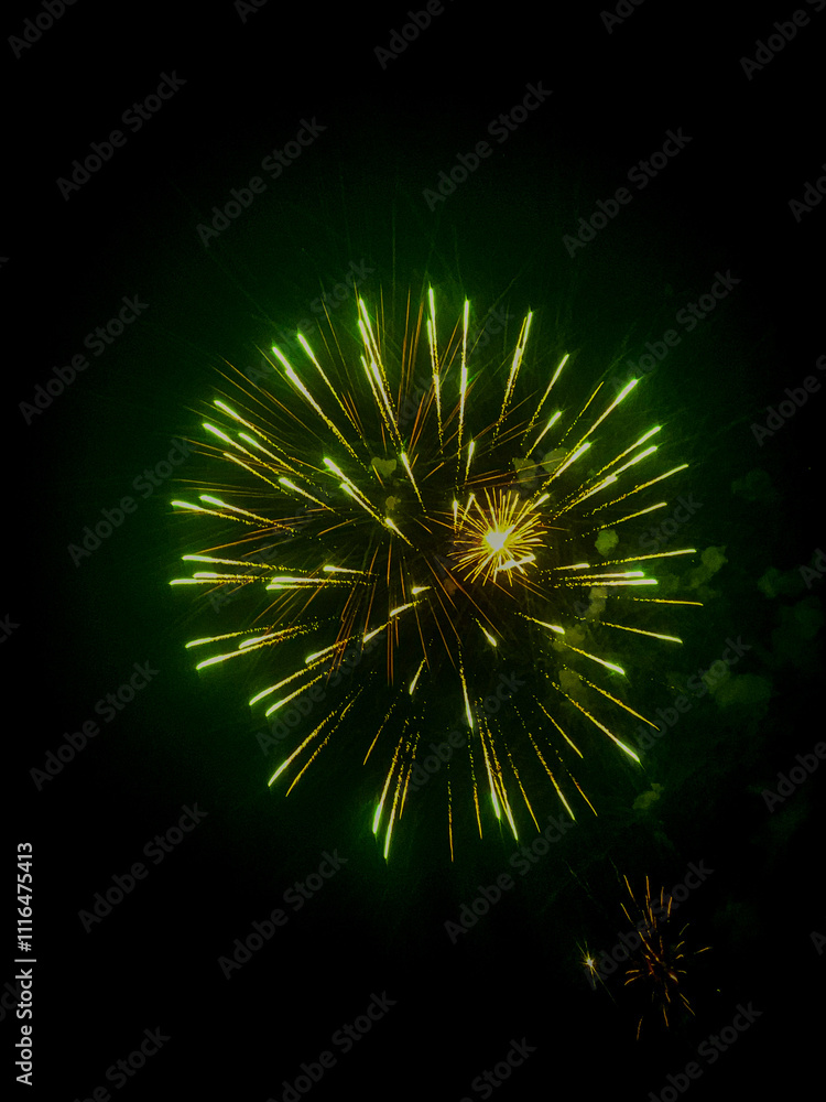 Obraz premium Fireworks