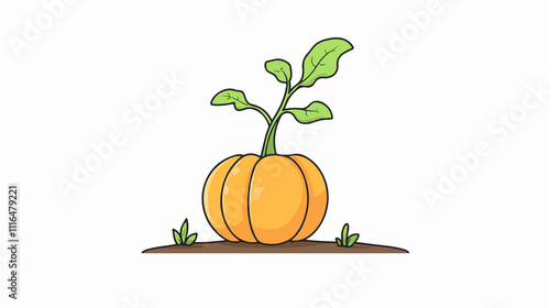 Pumpkin growth stages vector illustration for educational purposes photo