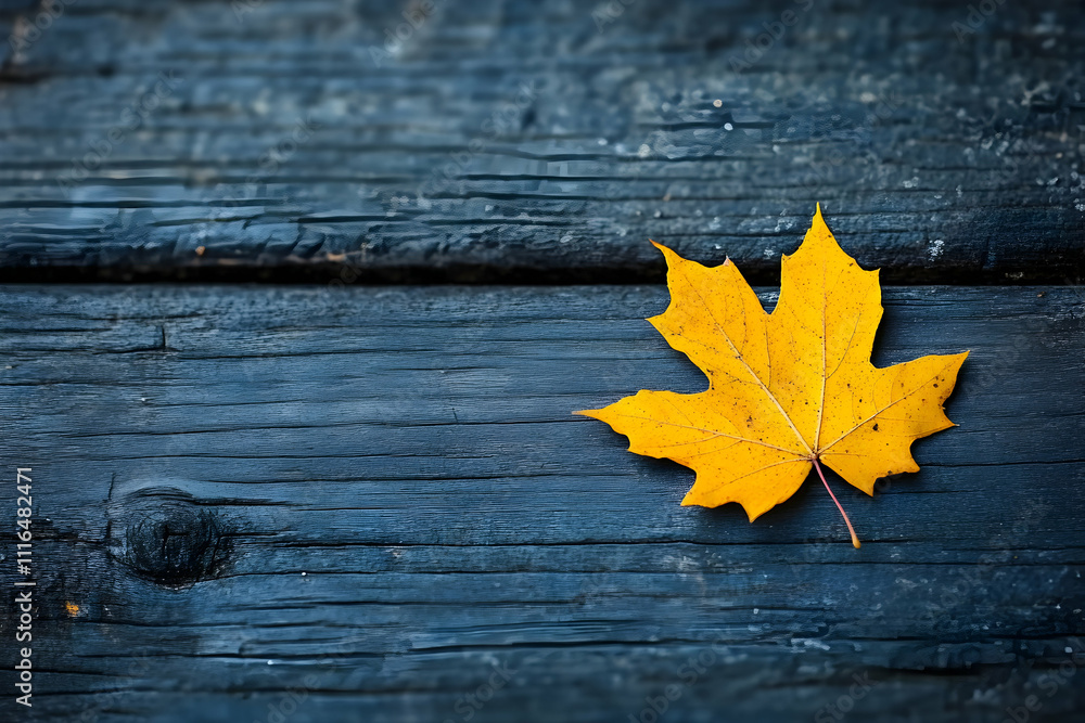 Single yellow maple leaf on dark wood. Single yellow maple leaf on dark wood.