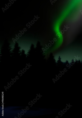 Grünes Nordlicht in Lappland