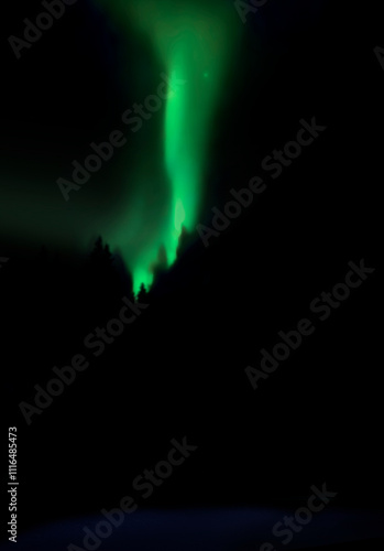 Grünes Nordlicht in Lappland