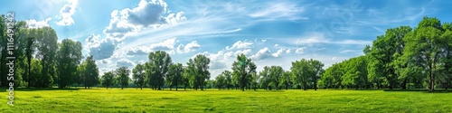 Sky And Trees. Summer Park Scenery with Green Meadow and Lush Trees