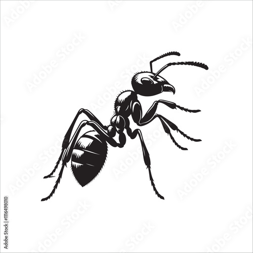 the best  ant vector  silhouette