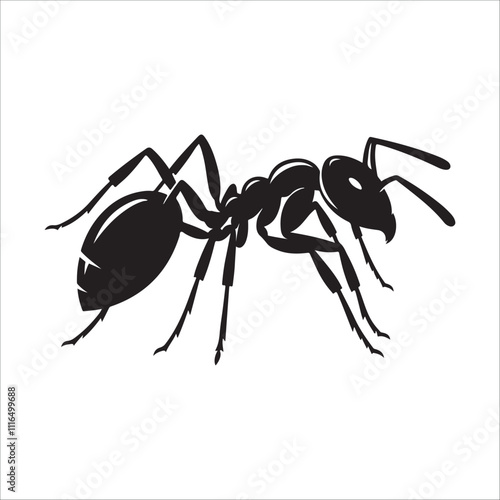 the best  ant vector  silhouette