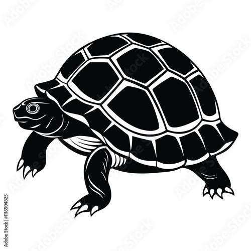 tortoise vector silhouette on white background