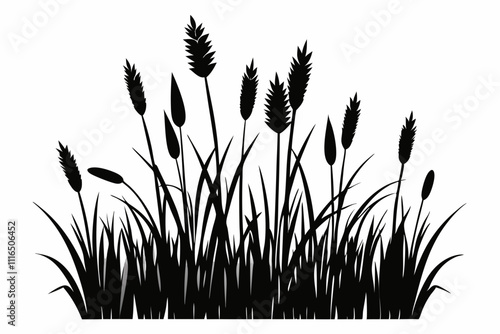 A simple Prairie Grass silhouette black vector white background