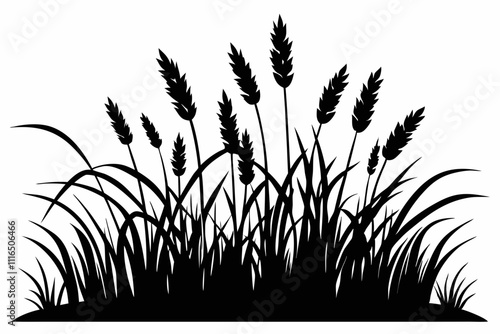 A simple Prairie Grass silhouette black vector white background