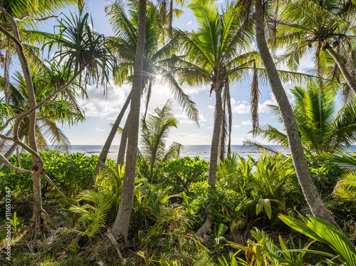 Jungle landscape with palm trees photo