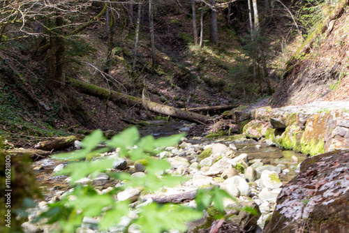 moss covered rocks