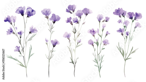 Watercolor Illustrations of Purple Wildflowers with Delicate Stems
