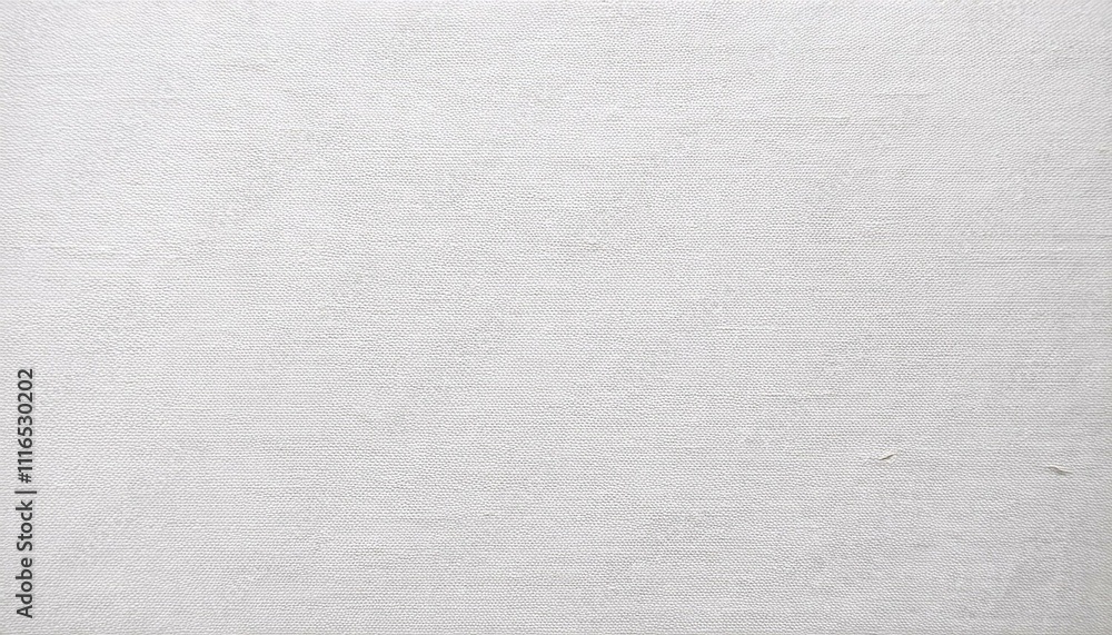 Fototapeta premium white canvas texture cardboard paper packing texture background