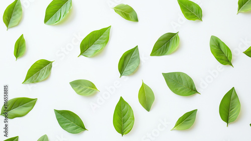 Laptop mockup with green leaves on white background, Generative AI