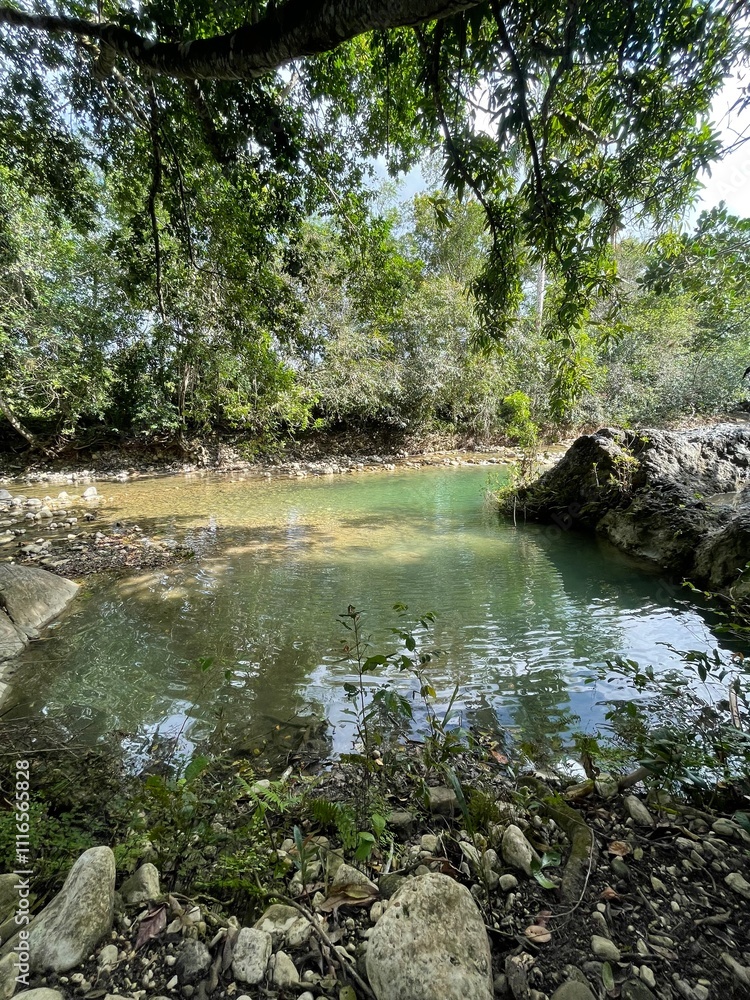 Fototapeta premium Serene waters flow through a forested area, surrounded by vibrant trees and rocks. Ideal for nature lovers and tranquil settings.