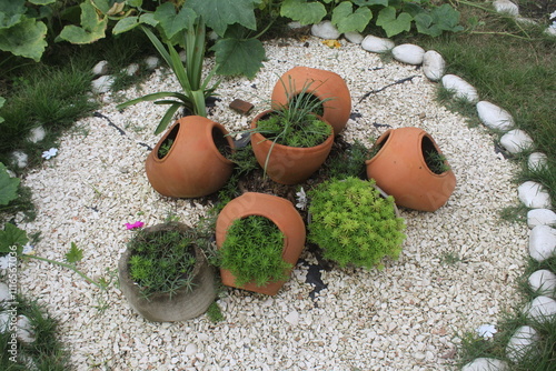 A charming display of terracotta pots with lush greenery in a gravel garden, showcasing a unique landscape design that highlights beauty and nature. photo