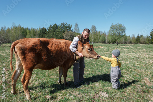 Farmer petting a cow with his son, summer farm, child, cow. photo