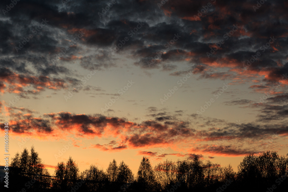 Fototapeta premium Summer sunset, orange clouds, landscape.