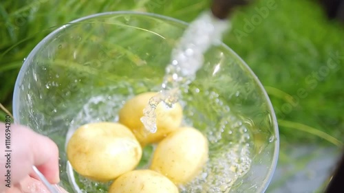 Fresh organic potatoes being rinsed in a bowl with water splashing in slow motion 300fps photo