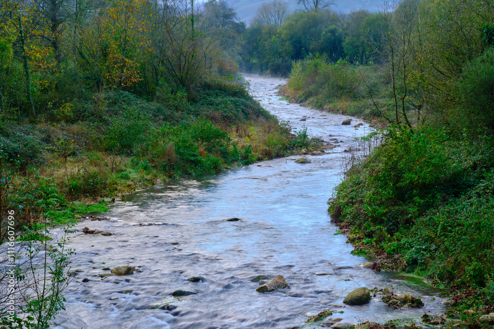 Fototapeta premium Serene flow of the Saja River through the lush Cabuerniga Valley landscape.