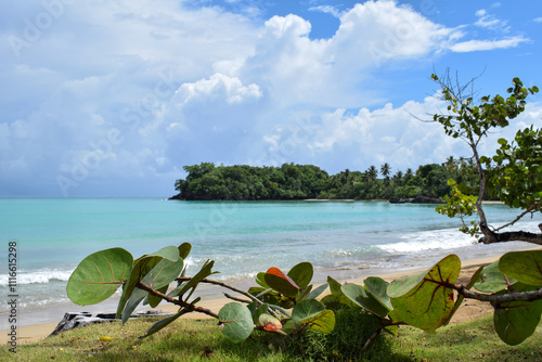 Las Terrenas, uno de los lugares más hermosos de República Dominicana photo