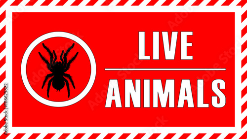 Red live animal labels for cardboard, packing with tarantula spider symbol. Live animal sticker with information text for courier and supplier animals transportation illustration graphic design