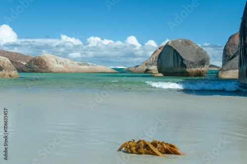 Coastal scene of Elephant Rocks near Denmark, Western Australia. Large rock formations in turquoise water with seaweed on wet sand. Ideal for nature, travel, and environmental themes. photo