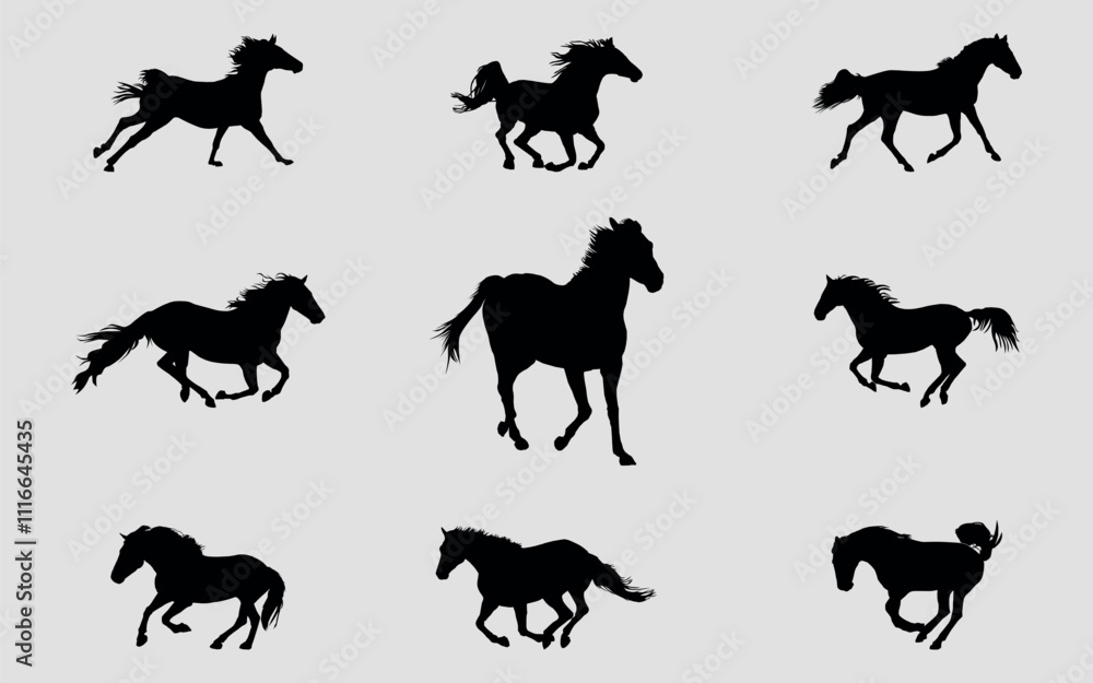 A set of black silhouettes of a sports horse. Vector on black background A set of black silhouettes of a sports horse. Vector on black background