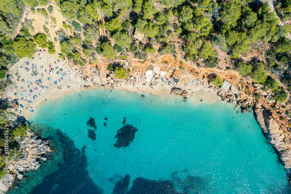 Aerial view of Cala Saladeta in Ibiza, showcasing turquoise waters, a sandy cove, and lush pine forest, a perfect Mediterranean escape for nature and beach lovers