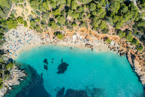 Obraz na płótnie Aerial view of Cala Saladeta in Ibiza, showcasing turquoise waters, a sandy cove, and lush pine forest, a perfect Mediterranean escape for nature and beach lovers w salonie