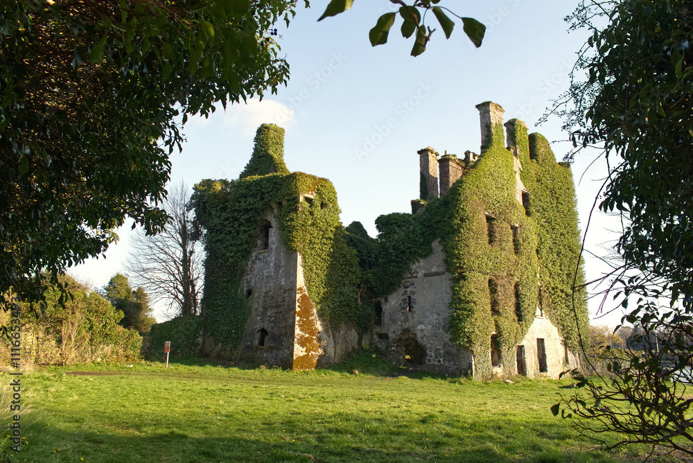 Beautiful green scenery of ruins of the Menlo castle in Galway, Ireland, historical building, architecture in nature	