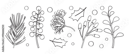 Christmas plant line icon, holly berry, winter tree, ilex, leaf. Holiday decor, autumn sprig, Xmas twig. Black silhouette set outline design isolated on white background. Vintage vector illustration
