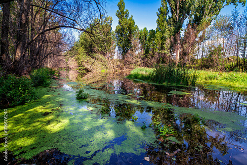 Rio Alberche