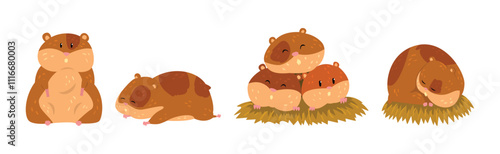 Cute Hamster Character with Pretty Snout Vector Set