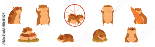 Cute Hamster Character with Pretty Snout Vector Set