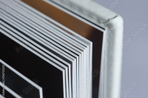 Luxe wedding album featuring thick flat-bound pages showcasing elegant design and high-quality materials for lasting memories photo