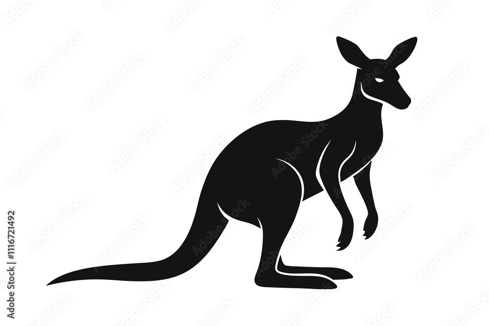 Kangaroo silhouette vector illustration on white background Kangaroo silhouette vector illustration on white background