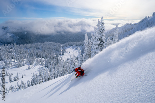 Powder skier in paradise