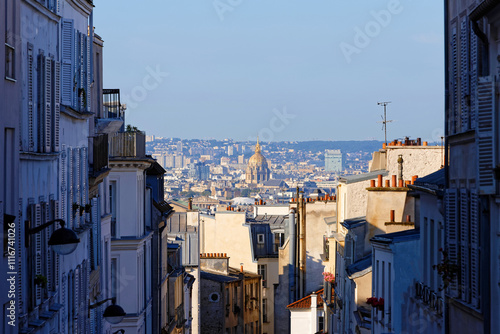 The parisian buildings and Saint Louis cathedral in the background, Paris, France.