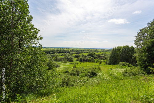 green summer landscape, meadow with trees and bushes stretching to the horizon