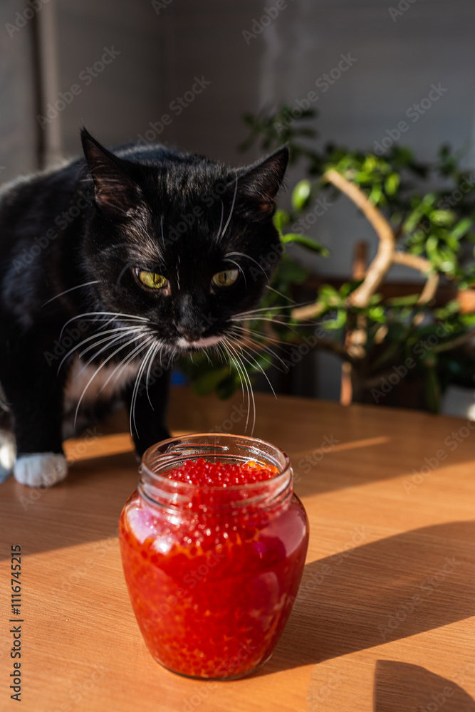 A jar of red caviar on the table with cat