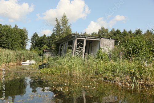 An abandoned shed and a dock on the shore of a lake, surrounded by dense reeds