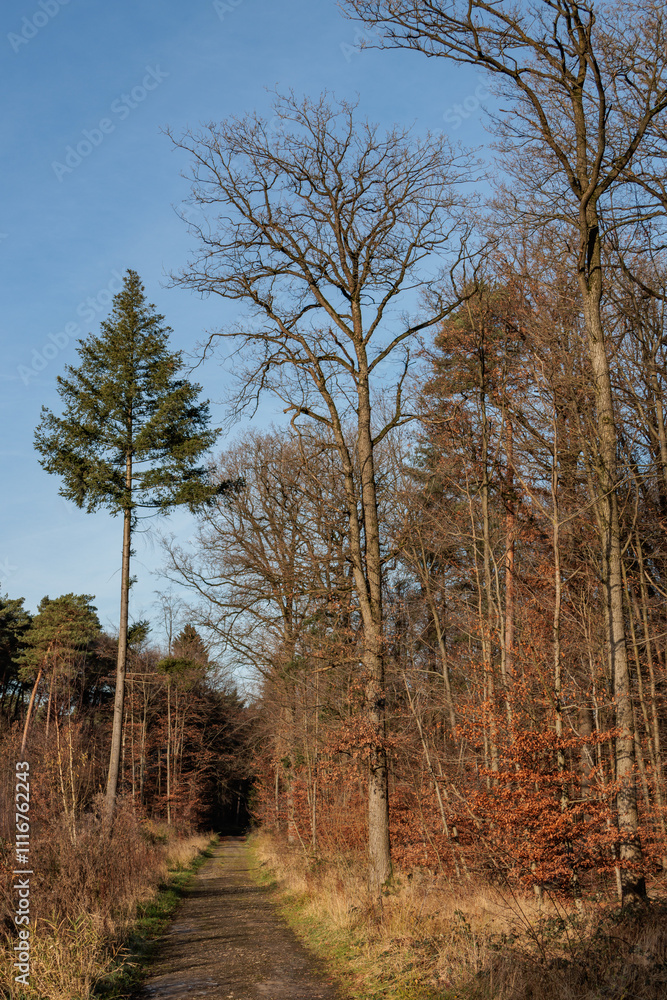 Spätherbst im Münsterland Spätherbst im Münsterland