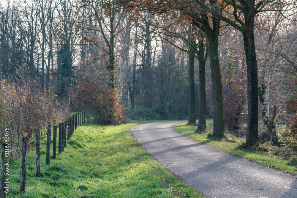 Fototapeta premium Spätherbst im Münsterland
