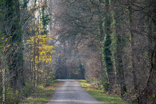 Spätherbst im Münsterland