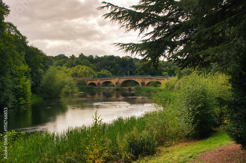 bridge over river in the forest