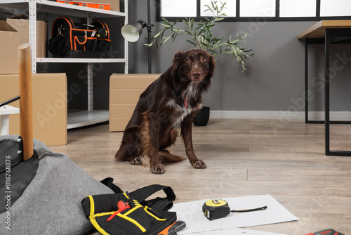 Cute dog with furniture ass...